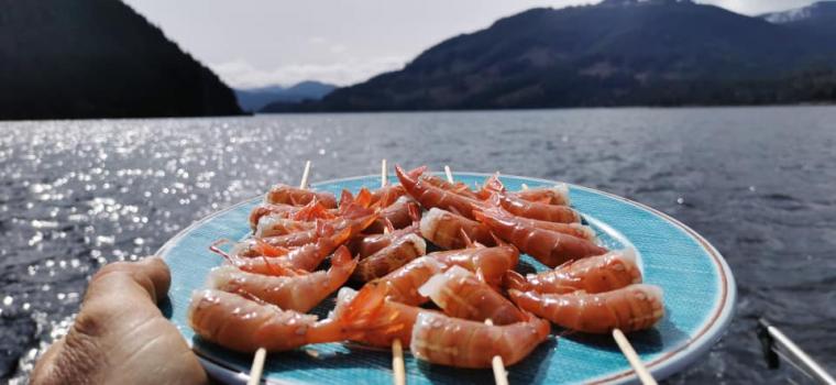 Prawns at sea