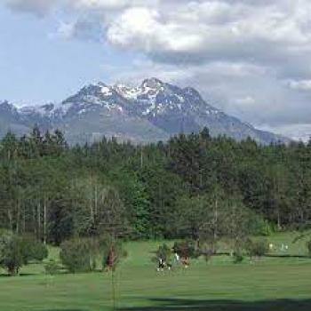 scenic shot of golf course