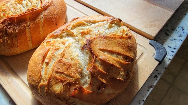 Large variety of special handmade healthy breads