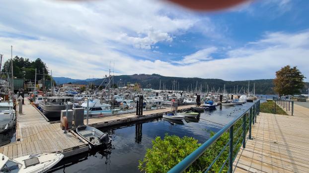 Tyee Landing Marina