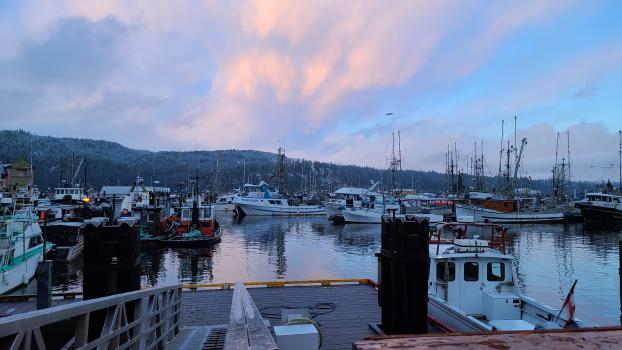 Fisherman's Harbour