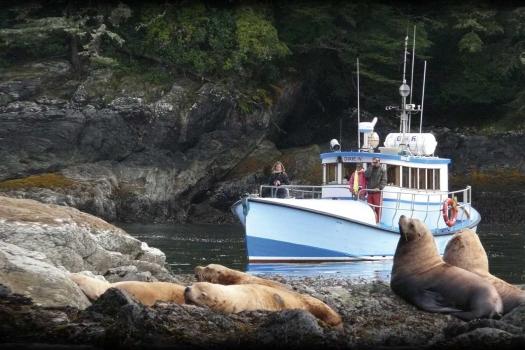 Photo of the boat Dixie IV.