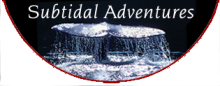 Subtidal Adventures Logo