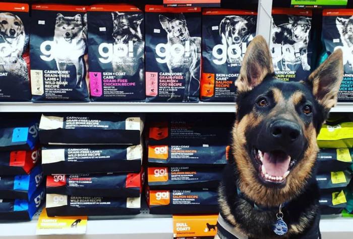 Welcome to Animal Ark Port Alberni - Terry Deakin