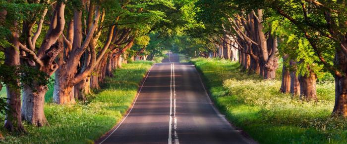 Whiskey Creek Campground