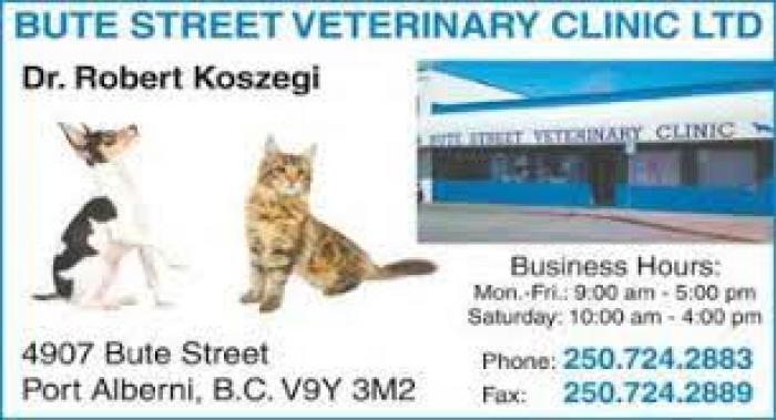 Bute Street Veterinary Clinic Ltd. - Dr. Robert Koszegi
