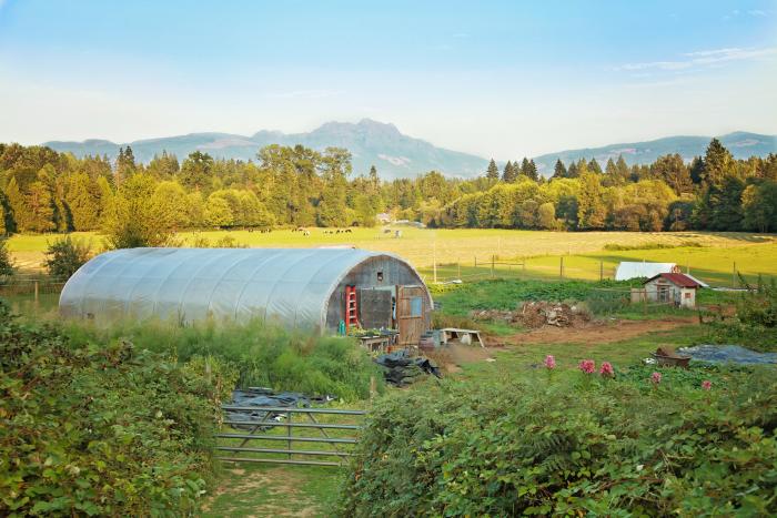 Arrowvale